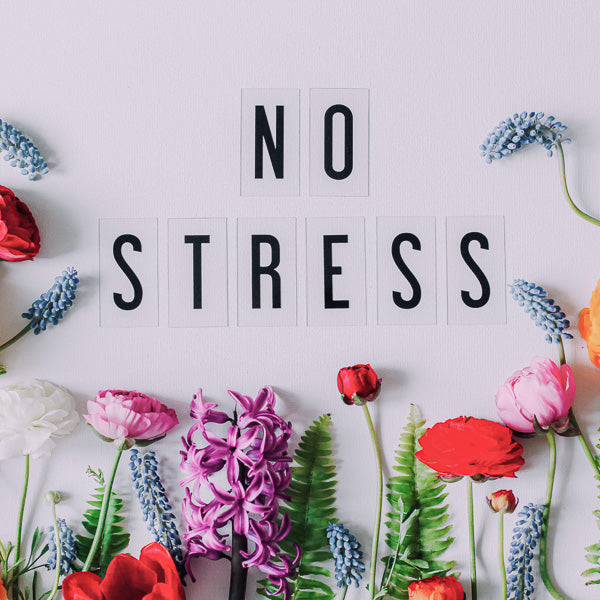 Foods that help reduce stress
