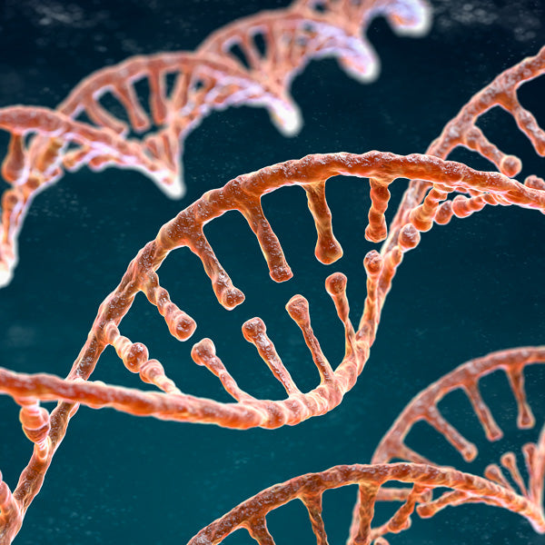 Nutrigenomics and personalised nutrition