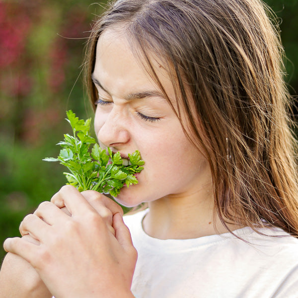 A gentle self-check on your relationship with food
